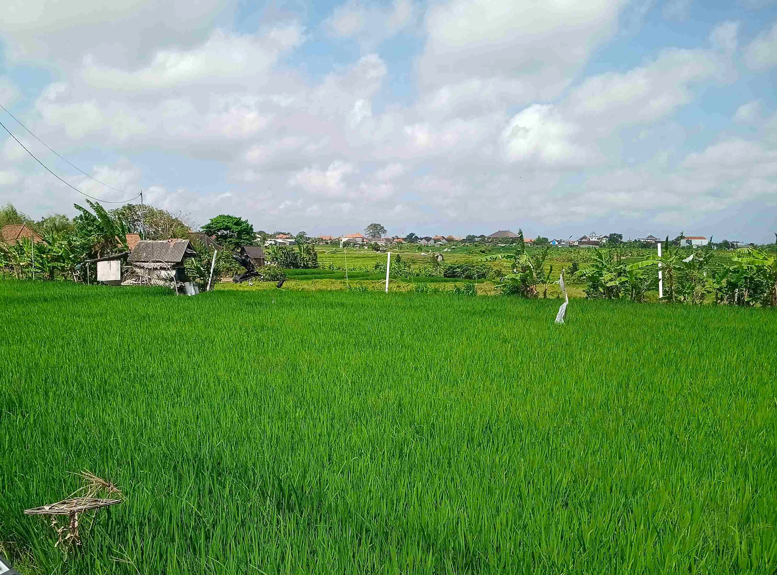 Brand New Villa - Sublease