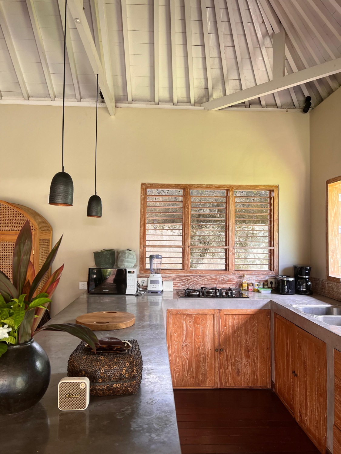 Babakan Villa with Rice Views, Garden and Infinity Pool