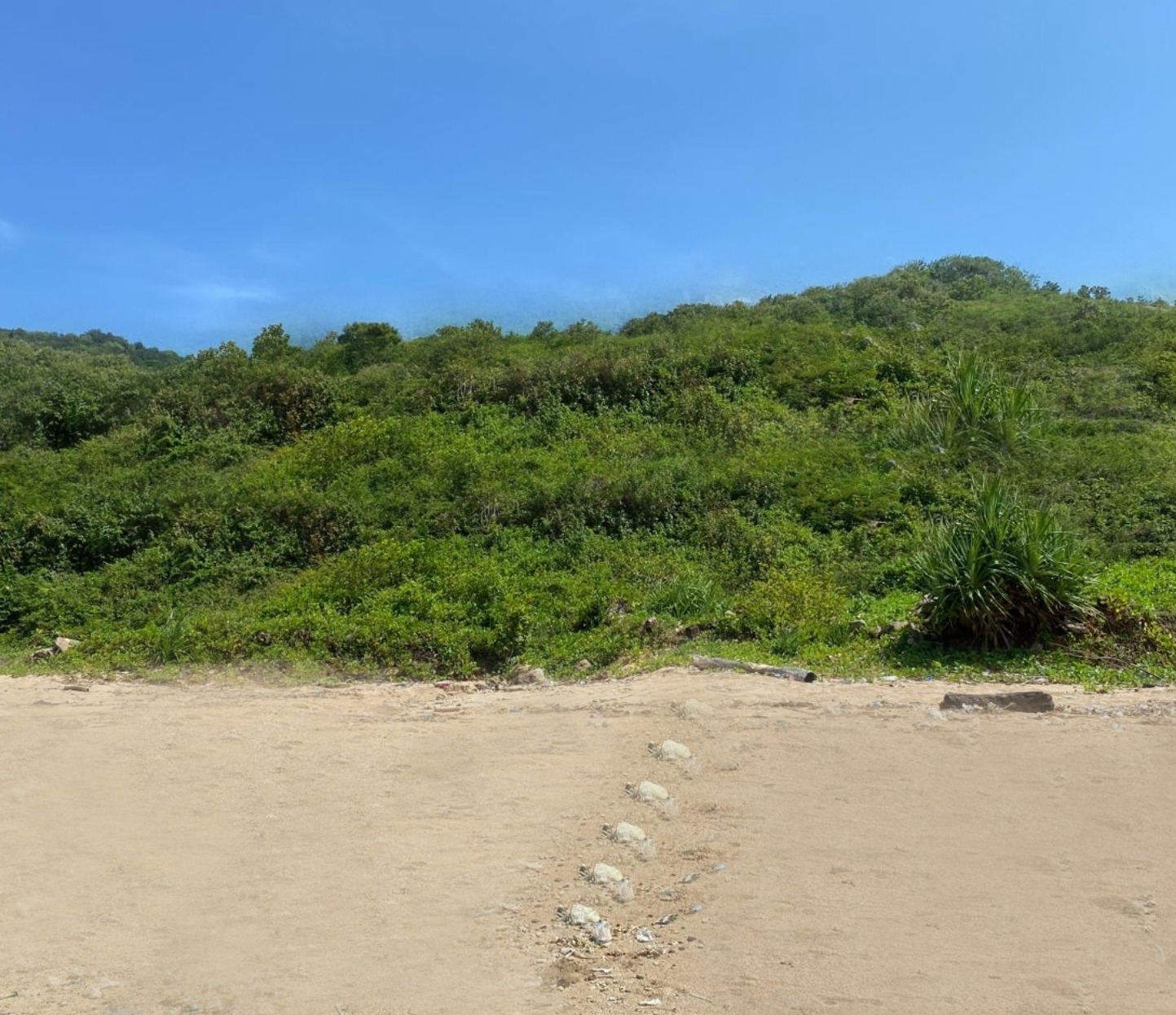 Three Premium Ocean-View Lots with Direct Beach Access