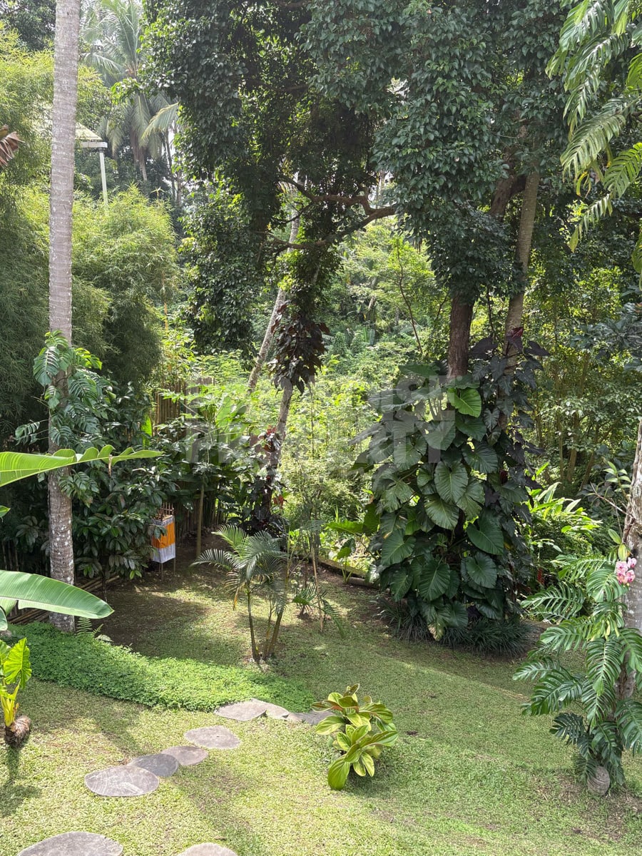 Beautiful 3 Bedroom Villa – Great Views and Close to Ubud Center