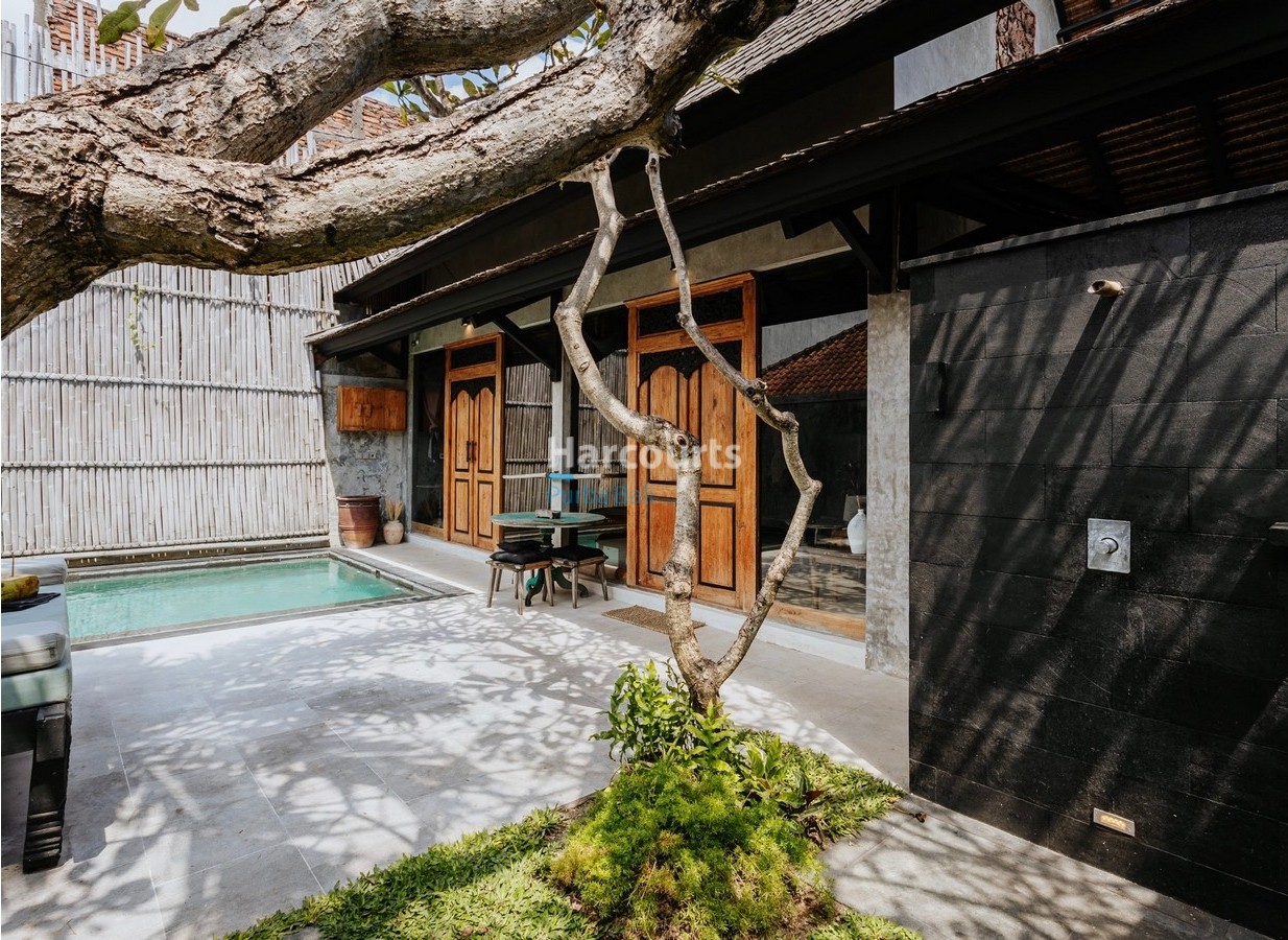 Modern 1 Bedroom Villa Studio in Berawa