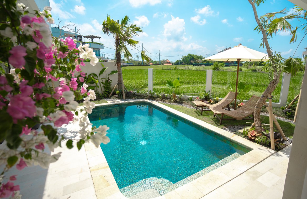 Coastal Serenity with rice fied view in Cemagi