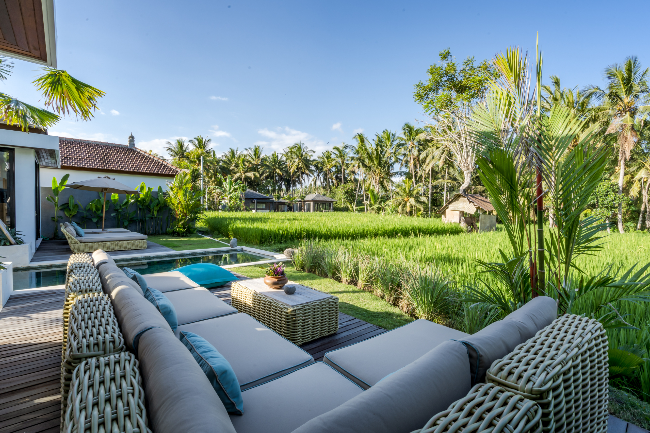 5-Bedroom Villa in Mas, Ubud – Rice Field Views & Rental Potential