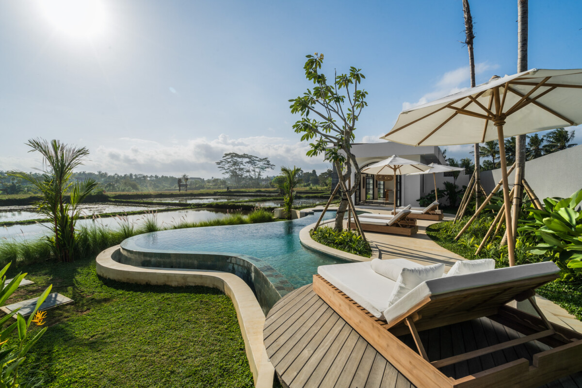 Elegant Modern Villa with Rice Field View 