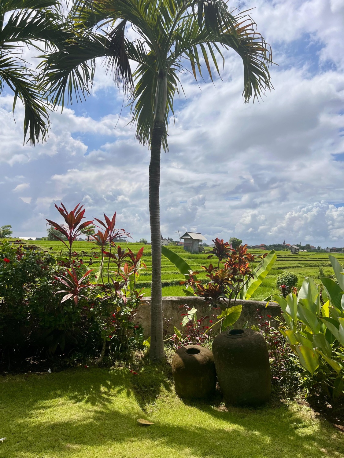 Babakan Villa with Rice Views, Garden and Infinity Pool