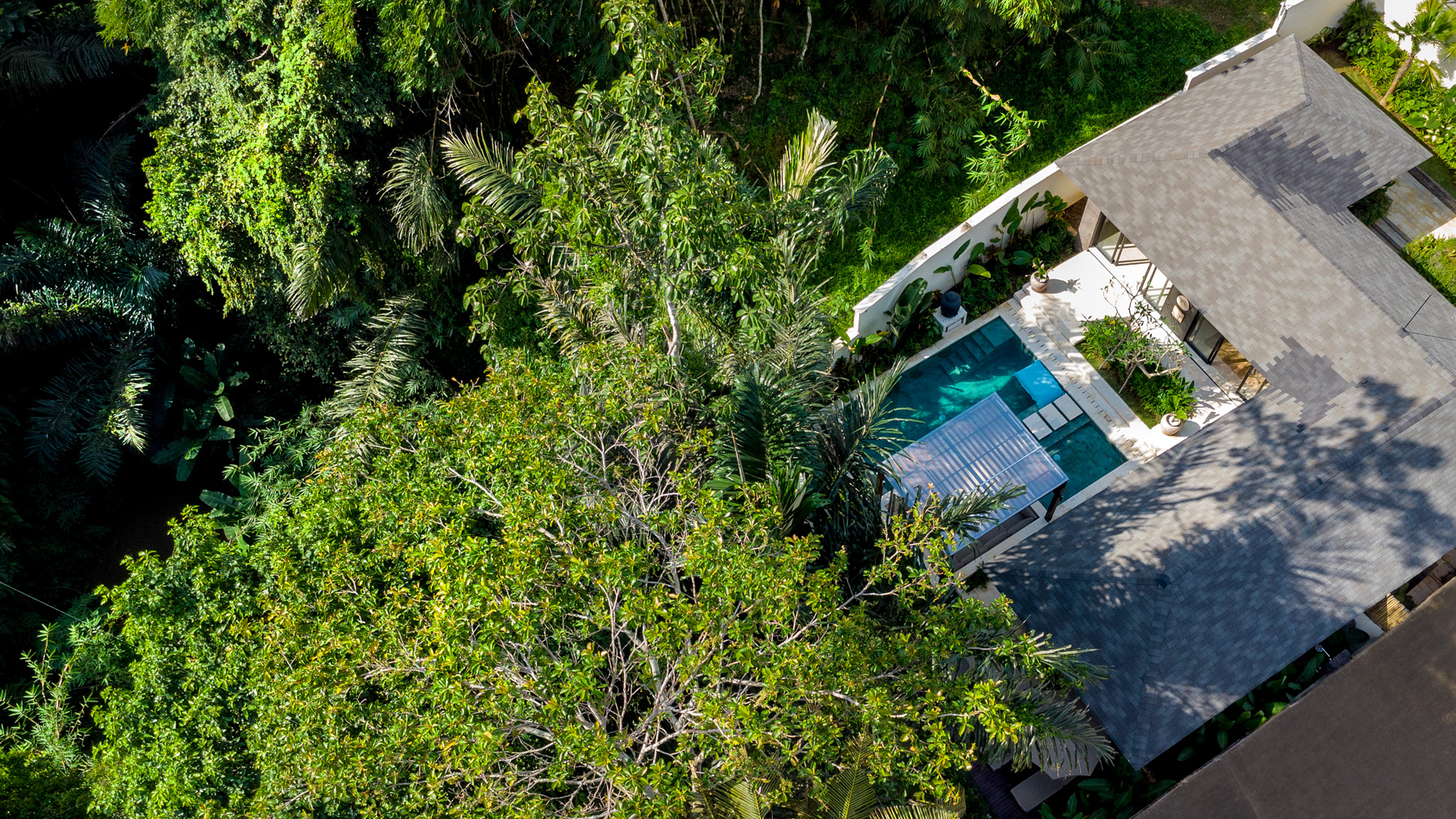 Private Jungle-View Villa with Infinity Pool